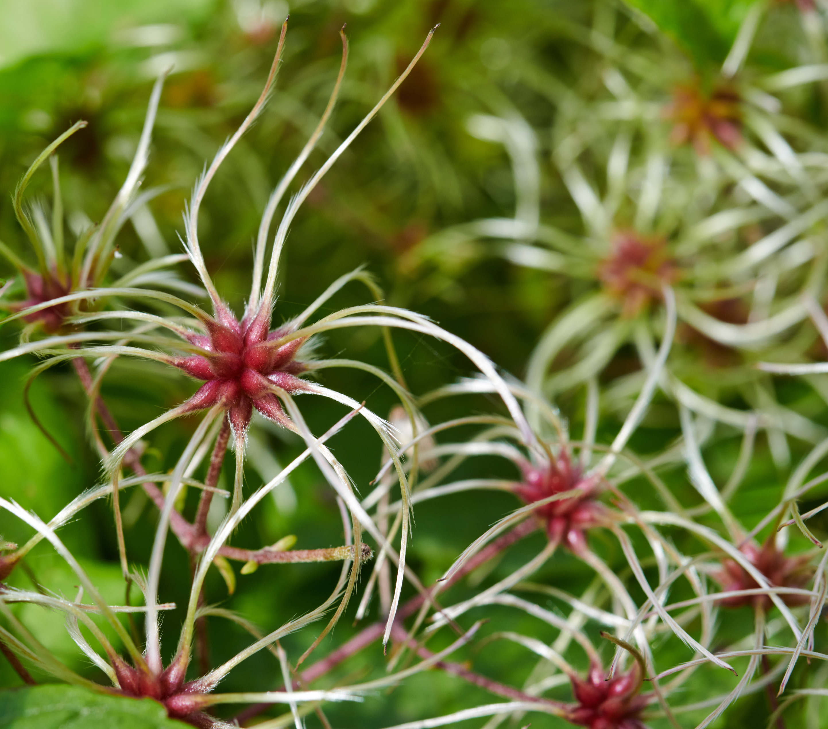 Fotografeerwandeling Koudenhoorn 7-11-21