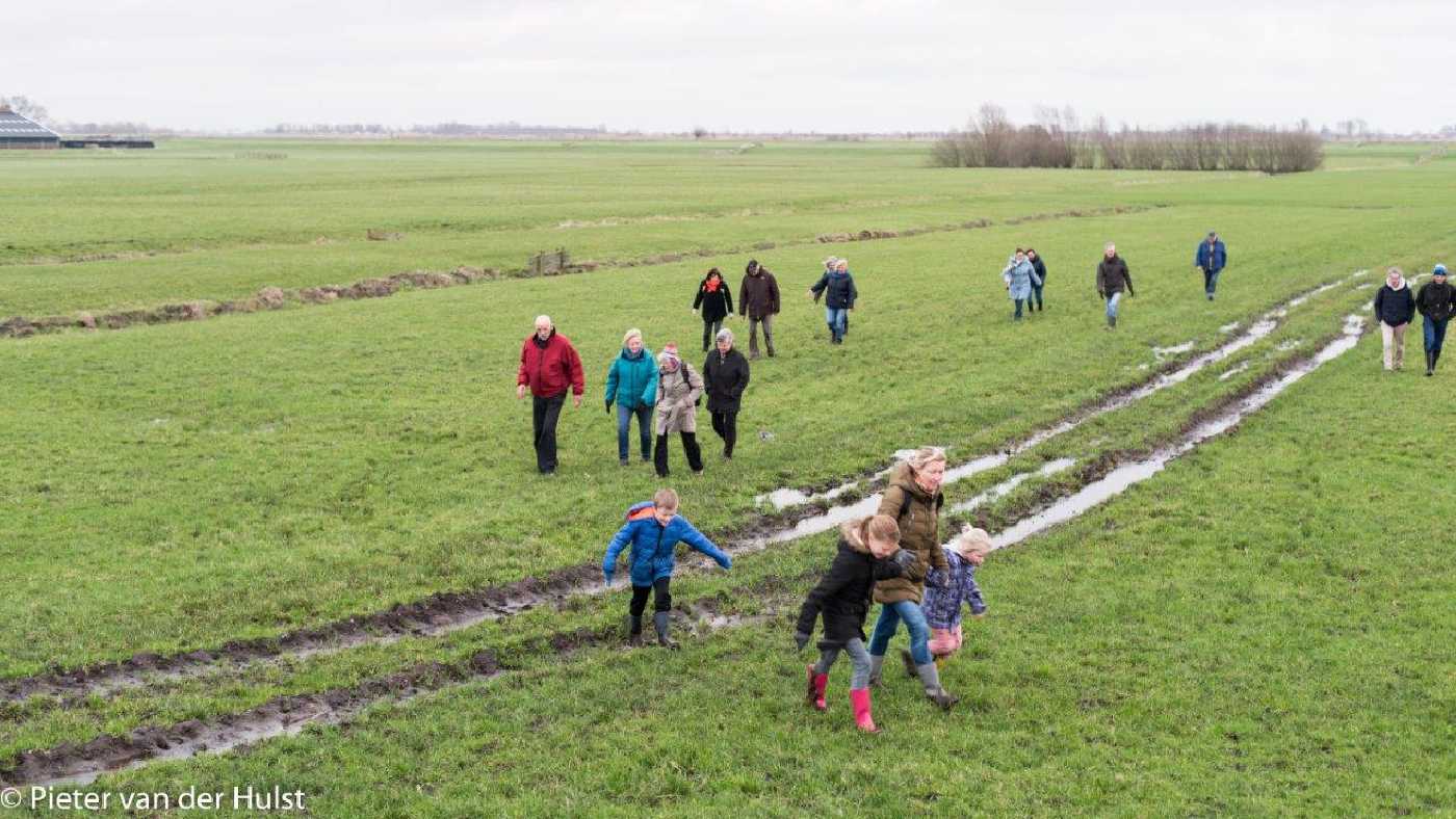 winterwandeling-hemmeerpolder.jpg